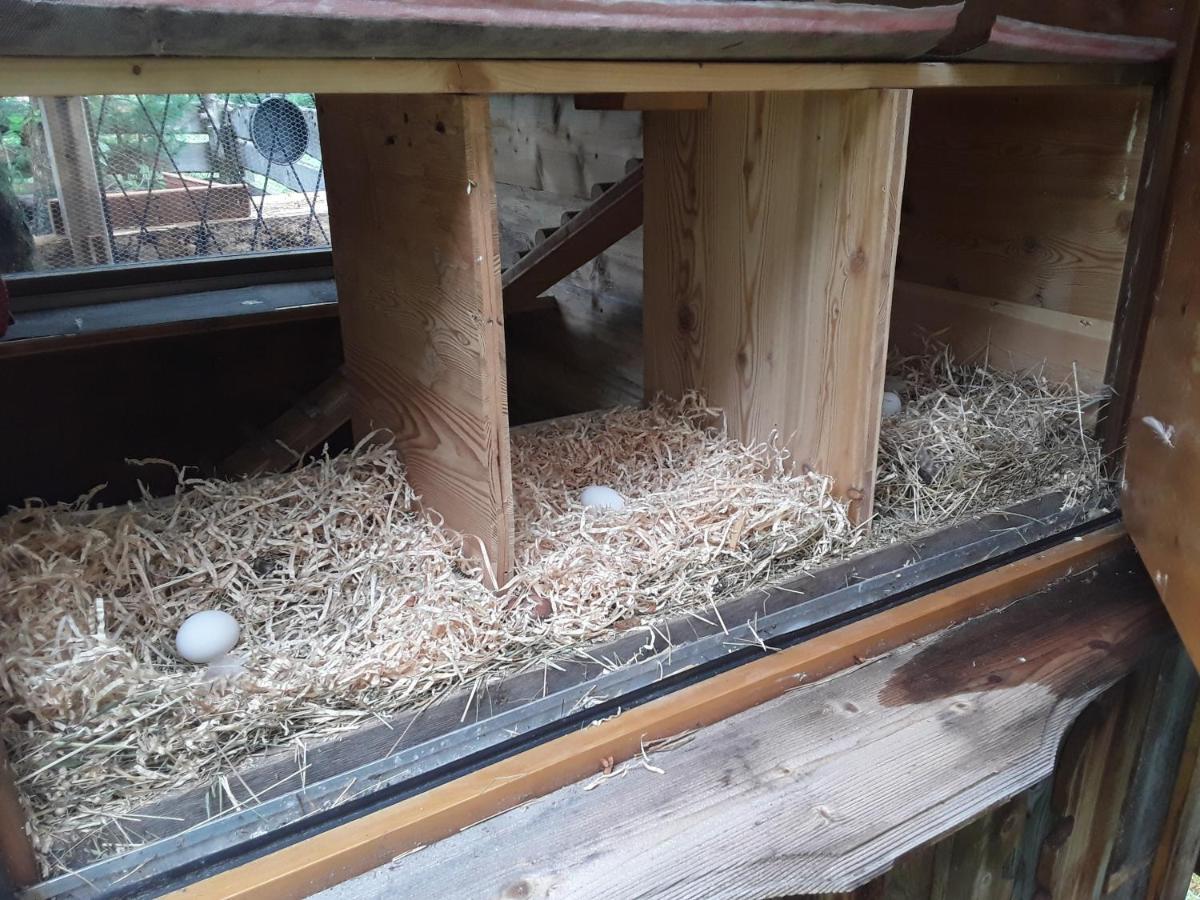 Haus Am Rechten Fleck Kaunertal Zewnętrze zdjęcie