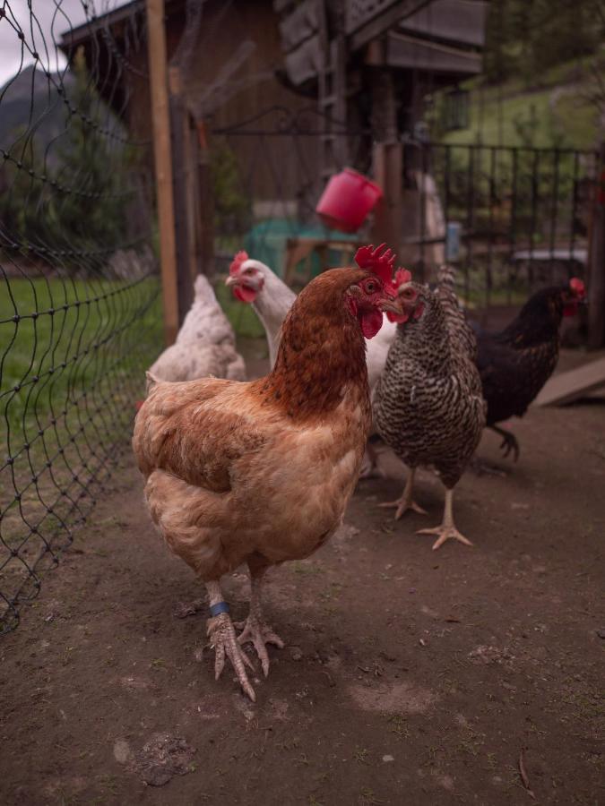 Haus Am Rechten Fleck Kaunertal Zewnętrze zdjęcie